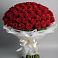 Букет 101 Красная роза Блэк Мэджик в Львовском