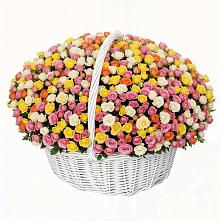 Премиум букет из: Розы #REPLACE_PRED# Львовском