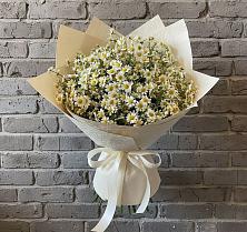 Букет цветов из:  Ромашки в Львовском