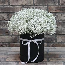 Цветочная композиция из Гипсофила в шляпной коробке в Львовском